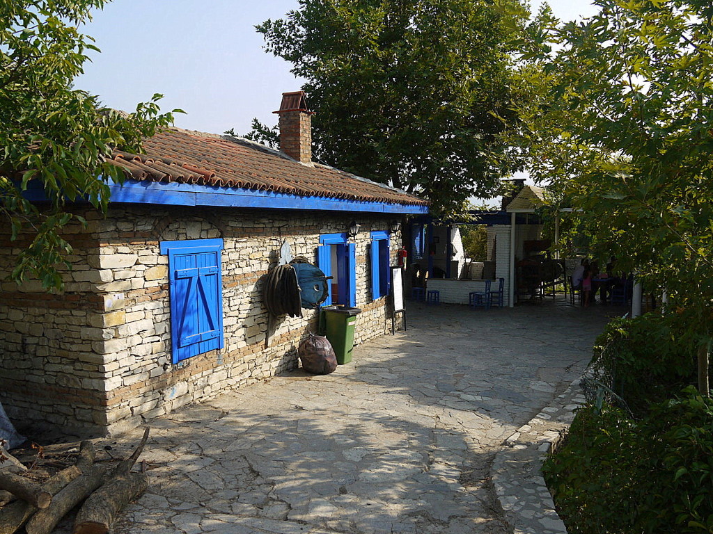 The Mill  Natural and Organic Club